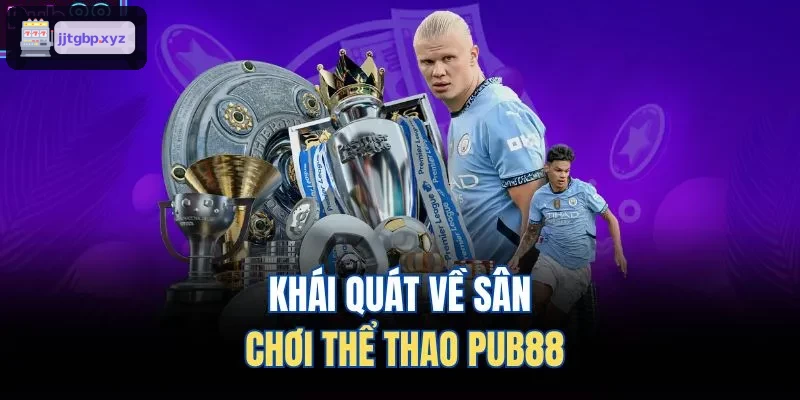 Khái quát về sân chơi thể thao BIN88